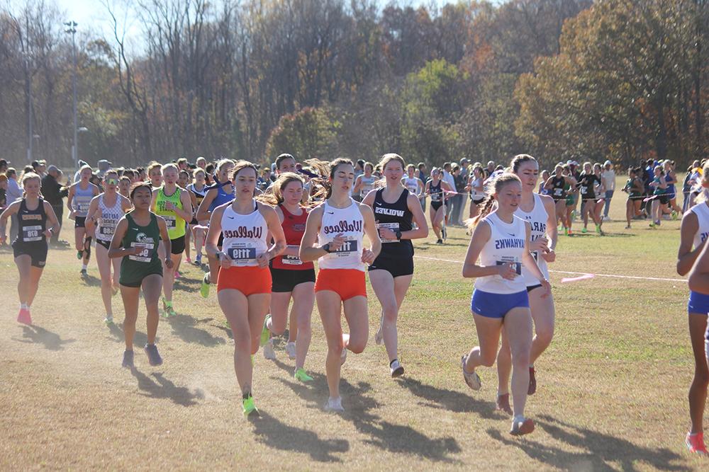 Women's Cross Country NJCAA